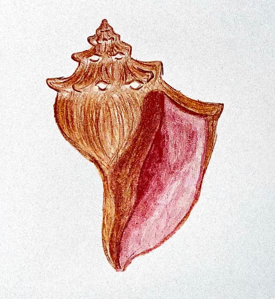 Lisintu Healing logo